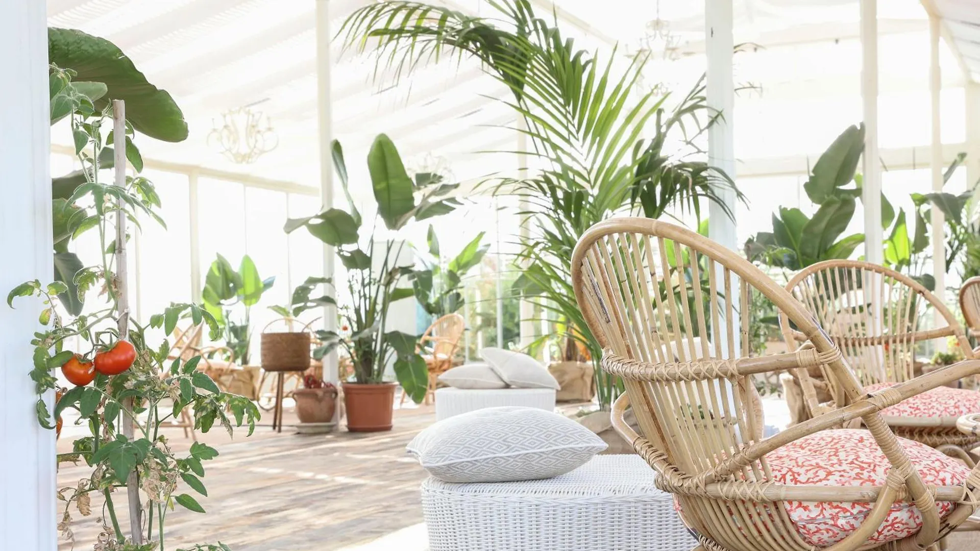 Resort Donna Coraly Country Boutique Hotel Arenella